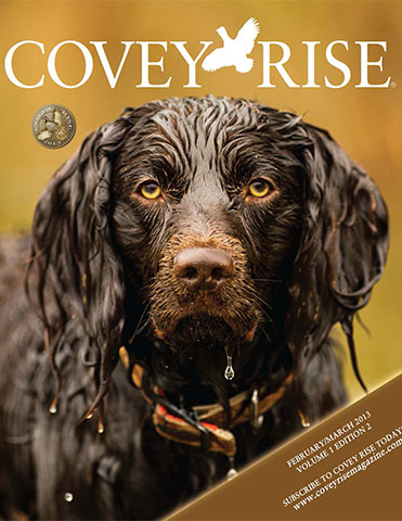 Yankee Cover Dog – Covey Rise Magazine